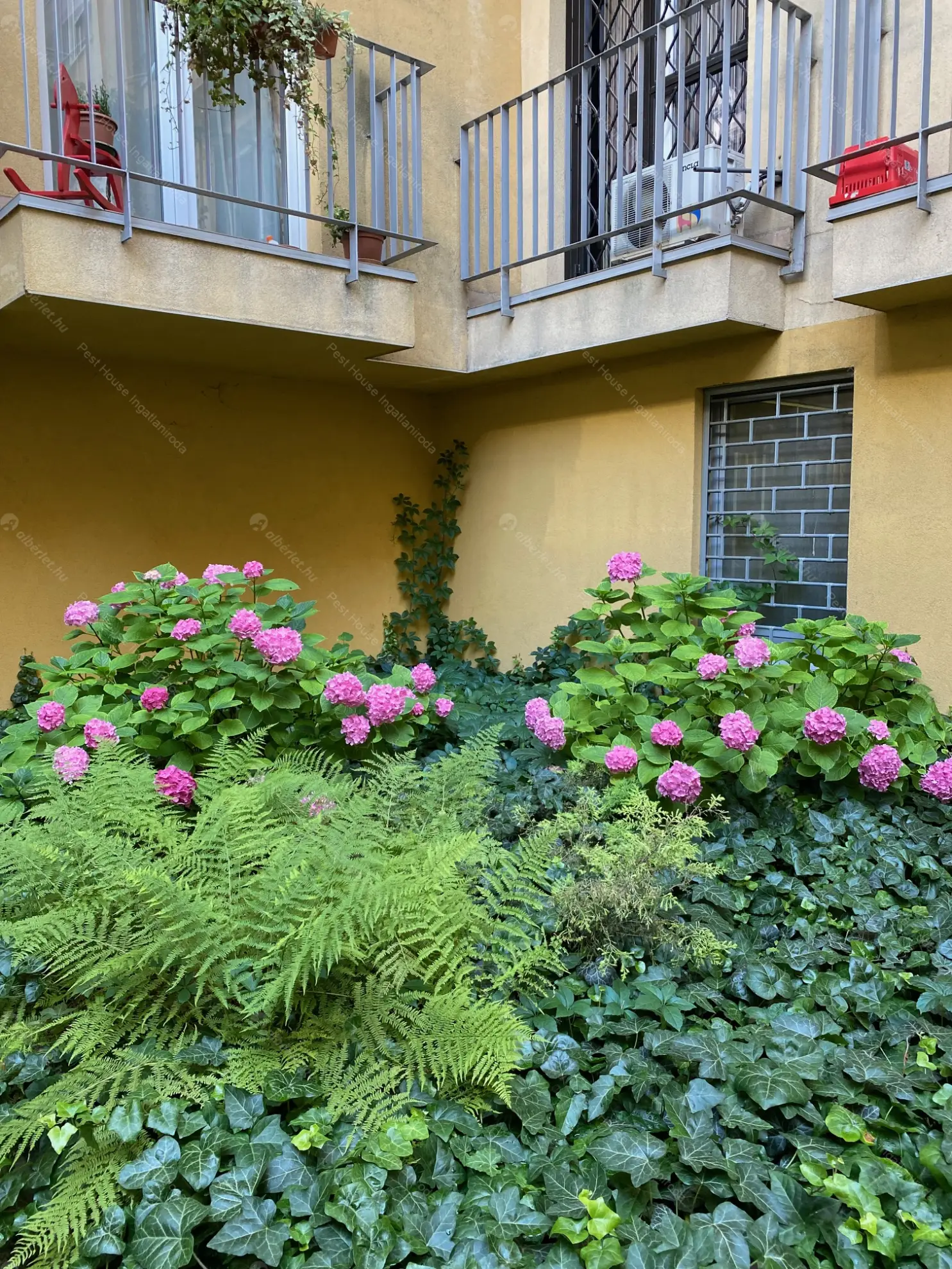 Kiadó albérlet 220000 Ft/hó áron: Budapest, IX. kerület  Balázs Béla utca. Mérete: 42 nm, 2 szobás | Alberlet.hu - 6597379