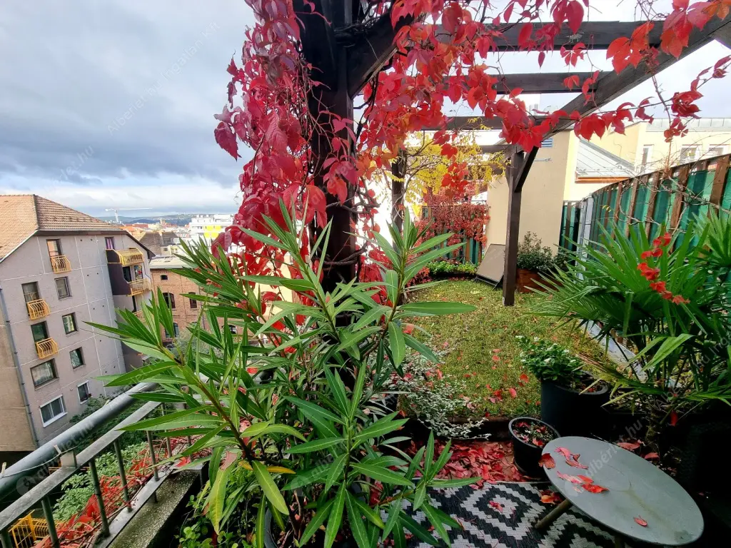 Kiadó albérlet 450000 Ft/hó áron: Budapest, IX. kerület  Balázs Béla utca. Mérete: 66 nm, 3 szobás | Alberlet.hu - 6610824