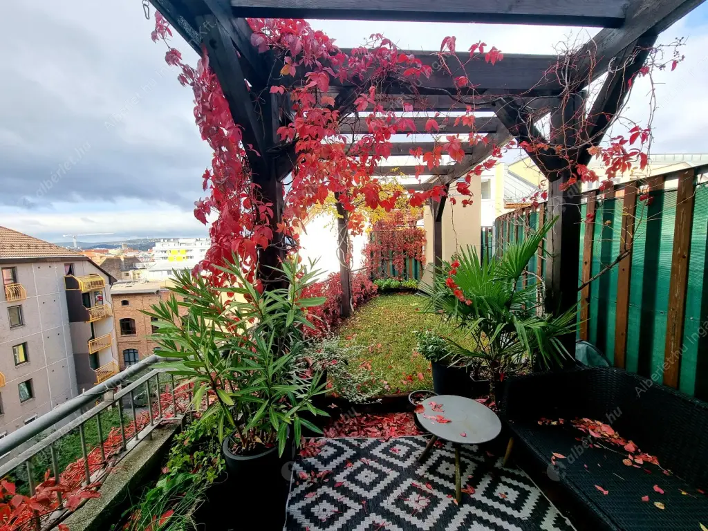 Kiadó albérlet 450000 Ft/hó áron: Budapest, IX. kerület  Balázs Béla utca. Mérete: 66 nm, 3 szobás | Alberlet.hu - 6610825