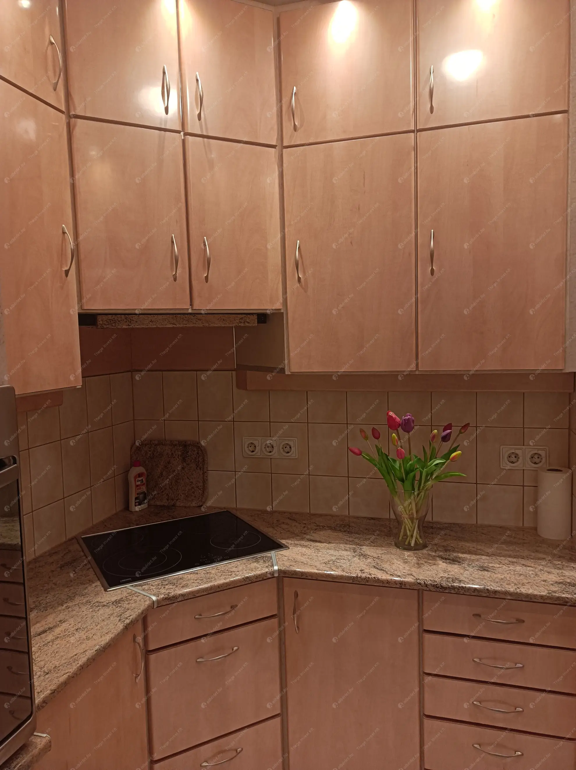 Kiadó albérlet 265000 Ft/hó áron: Budapest, IX. kerület  Bokréta utca. Mérete: 45 nm, 2 szobás | Alberlet.hu - 6581970