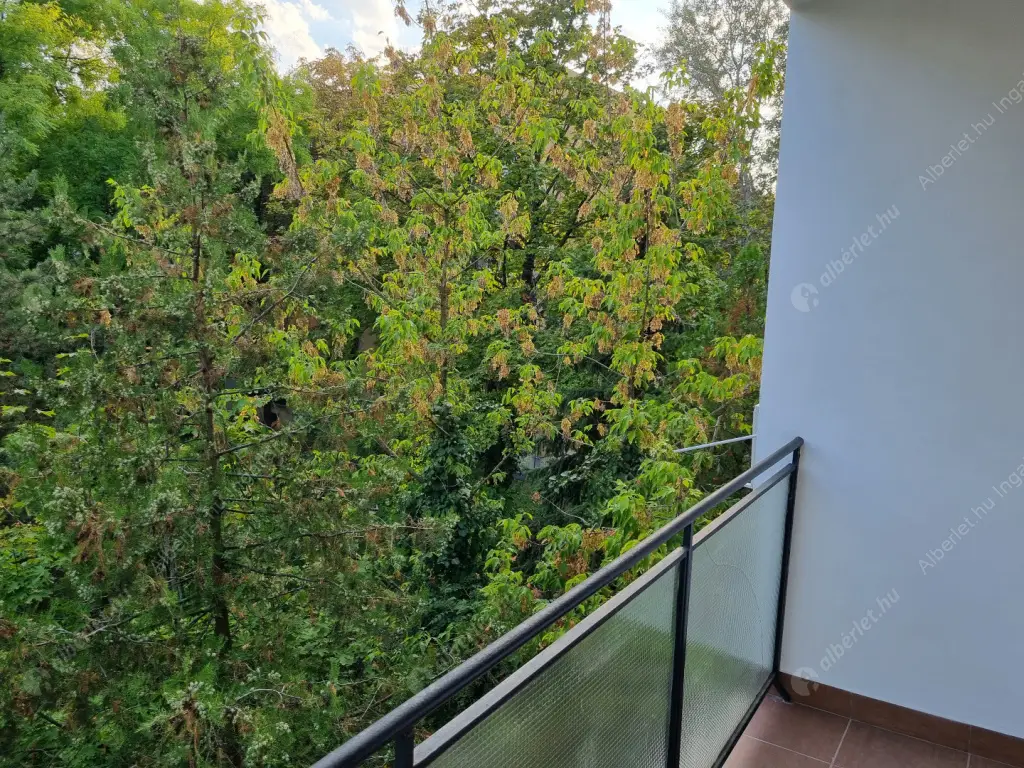 Kiadó albérlet 230000 Ft/hó áron: Budapest, IX. kerület  Börzsöny utca. Mérete: 55 nm, 2 szobás | Alberlet.hu - 6594610