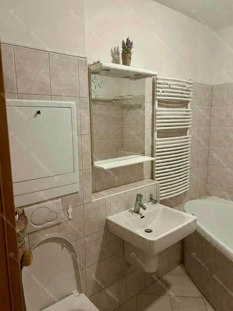 Kiadó albérlet 230000 Ft/hó áron: Budapest, IX. kerület  Dandár utca. Mérete: 33 nm, 1 szobás | Alberlet.hu - 6669589