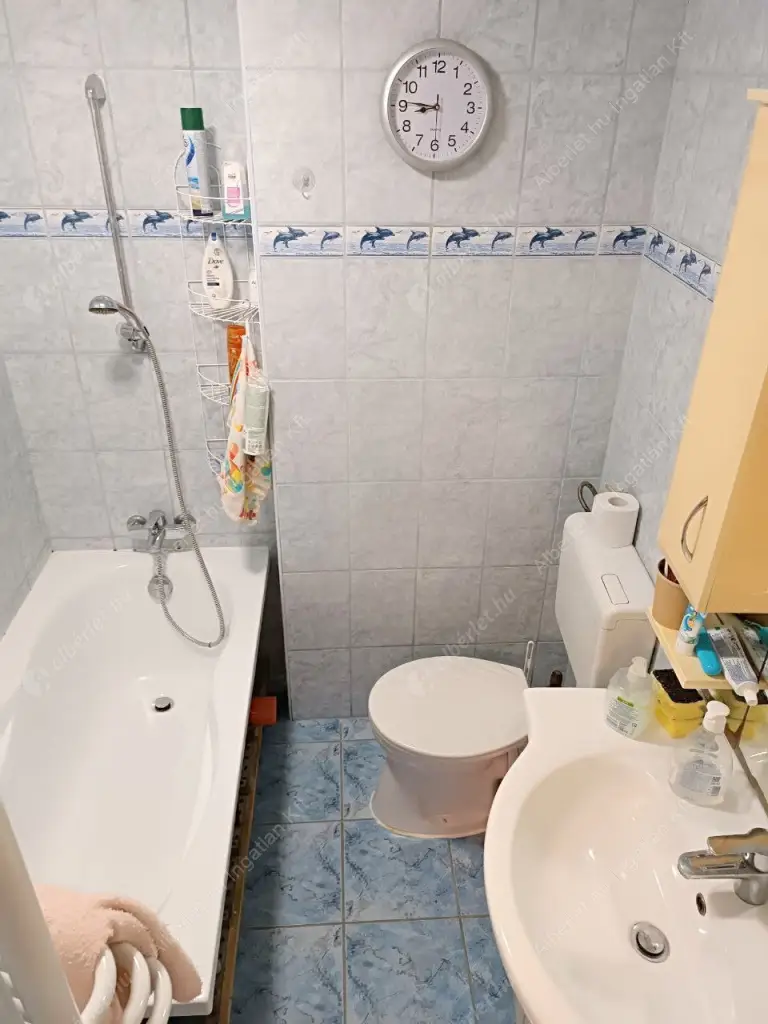 Kiadó albérlet 240000 Ft/hó áron: Budapest, IX. kerület  Ferenc körút. Mérete: 60 nm, 2 szobás | Alberlet.hu - 6601219