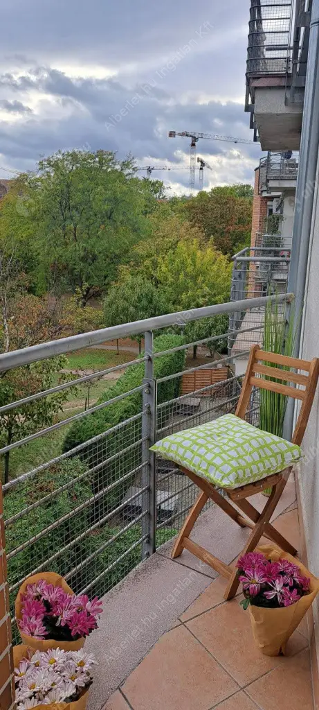 Kiadó albérlet 229000 Ft/hó áron: Budapest, IX. kerület  Haller utca. Mérete: 31 nm, 1 szobás | Alberlet.hu - 6556987