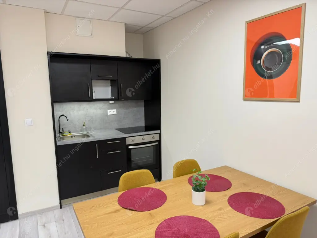 Kiadó albérlet 300000 Ft/hó áron: Budapest, IX. kerület  Ipar  utca . Mérete: 67 nm, 2 szobás | Alberlet.hu - 6580711
