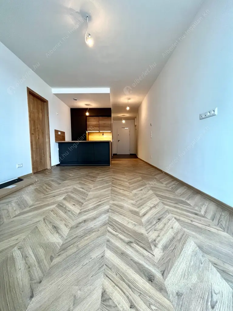 Kiadó albérlet 681000 Ft/hó áron: Budapest, IX. kerület  Lechner Ödön fasor. Mérete: 60 nm, 2 szobás | Alberlet.hu - 6524150