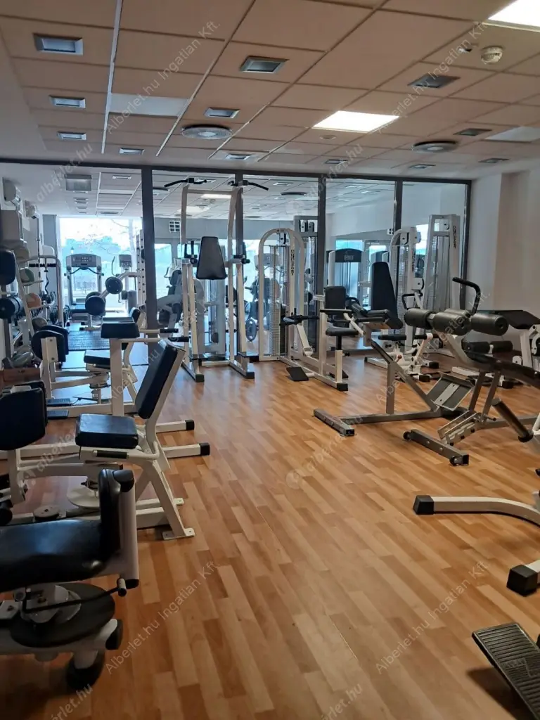 Kiadó albérlet 350000 Ft/hó áron: Budapest, IX. kerület  Lechner Ödön fasor. Mérete: 60 nm, 2 szobás | Alberlet.hu - 6516931