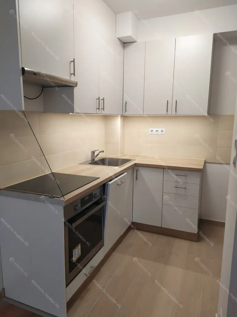 Kiadó albérlet 240000 Ft/hó áron: Budapest, IX. kerület  Lenhossék utca. Mérete: 44 nm, 2 szobás | Alberlet.hu - 6669485