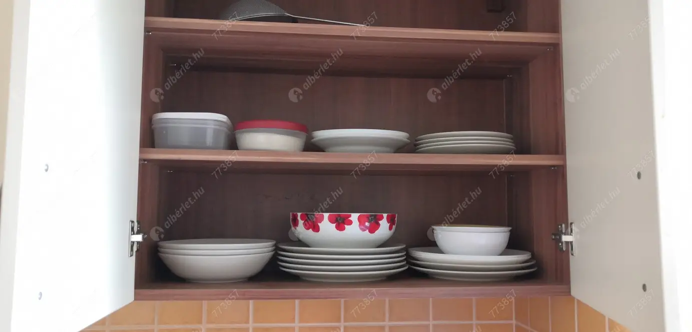 Kiadó albérlet 290000 Ft/hó áron: Budapest, IX. kerület  Likőr utca. Mérete: 44 nm, 1 szobás | Alberlet.hu - 6638636