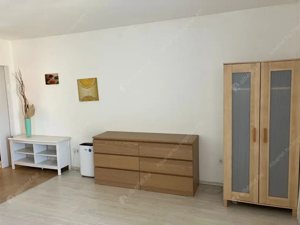 Kiadó albérlet 220000 Ft/hó áron: Budapest, IX. kerület  Márton utca. Mérete: 30 nm, 1 szobás | Alberlet.hu - 6578665