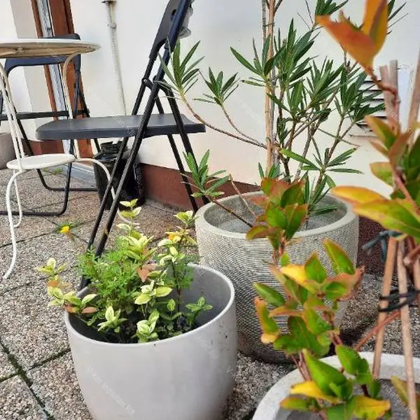 Kiadó albérlet 220000 Ft/hó áron: Budapest, IX. kerület  Márton utca. Mérete: 43 nm, 1 szobás | Alberlet.hu - 6703120