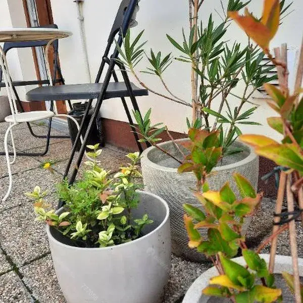 Kiadó albérlet 230000 Ft/hó áron: Budapest, IX. kerület  Márton utca. Mérete: 43 nm, 1 szobás | Alberlet.hu - 6707544