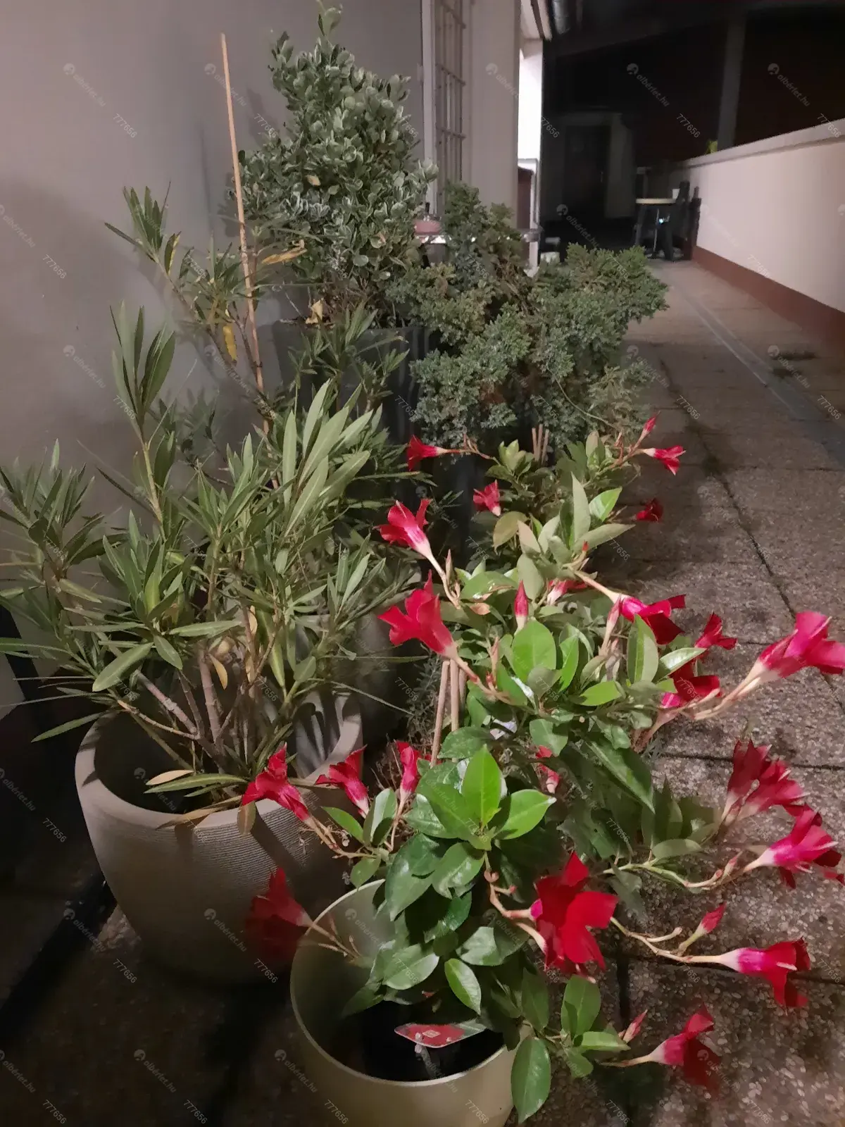 Kiadó albérlet 230000 Ft/hó áron: Budapest, IX. kerület  Márton utca. Mérete: 43 nm, 1 szobás | Alberlet.hu - 6707547