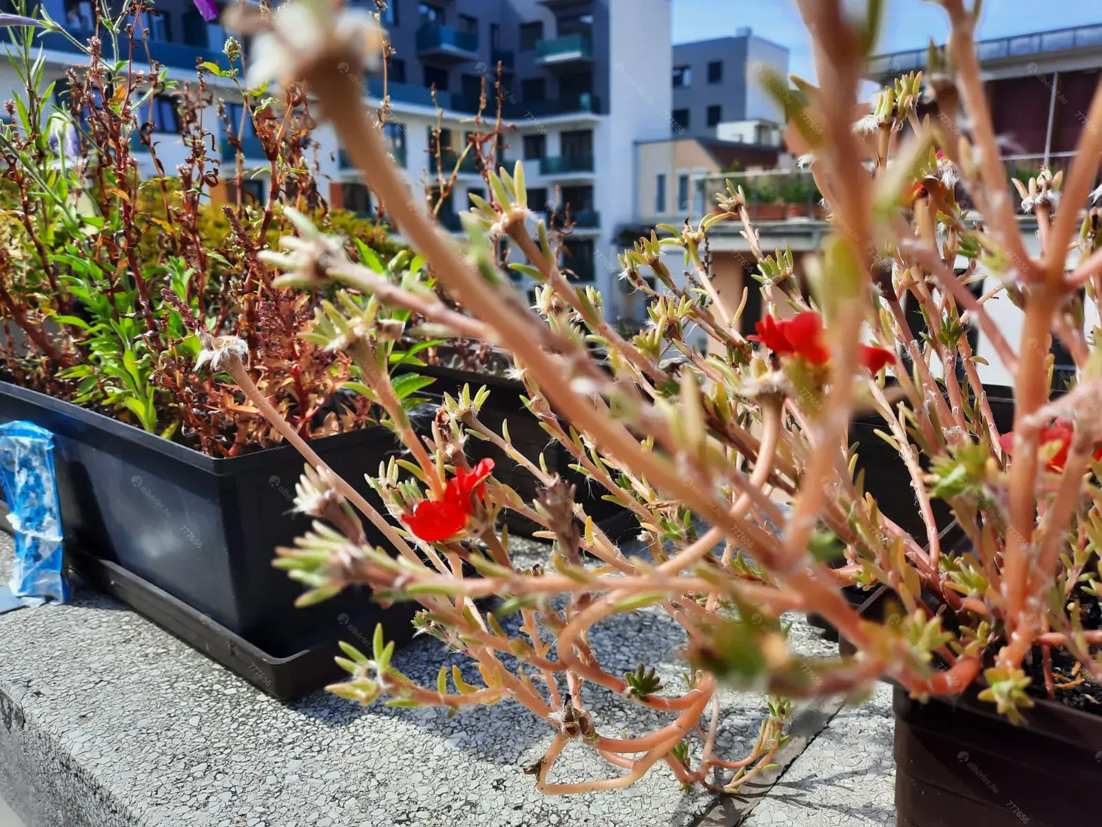 Kiadó albérlet 230000 Ft/hó áron: Budapest, IX. kerület  Márton utca. Mérete: 43 nm, 1 szobás | Alberlet.hu - 6707548