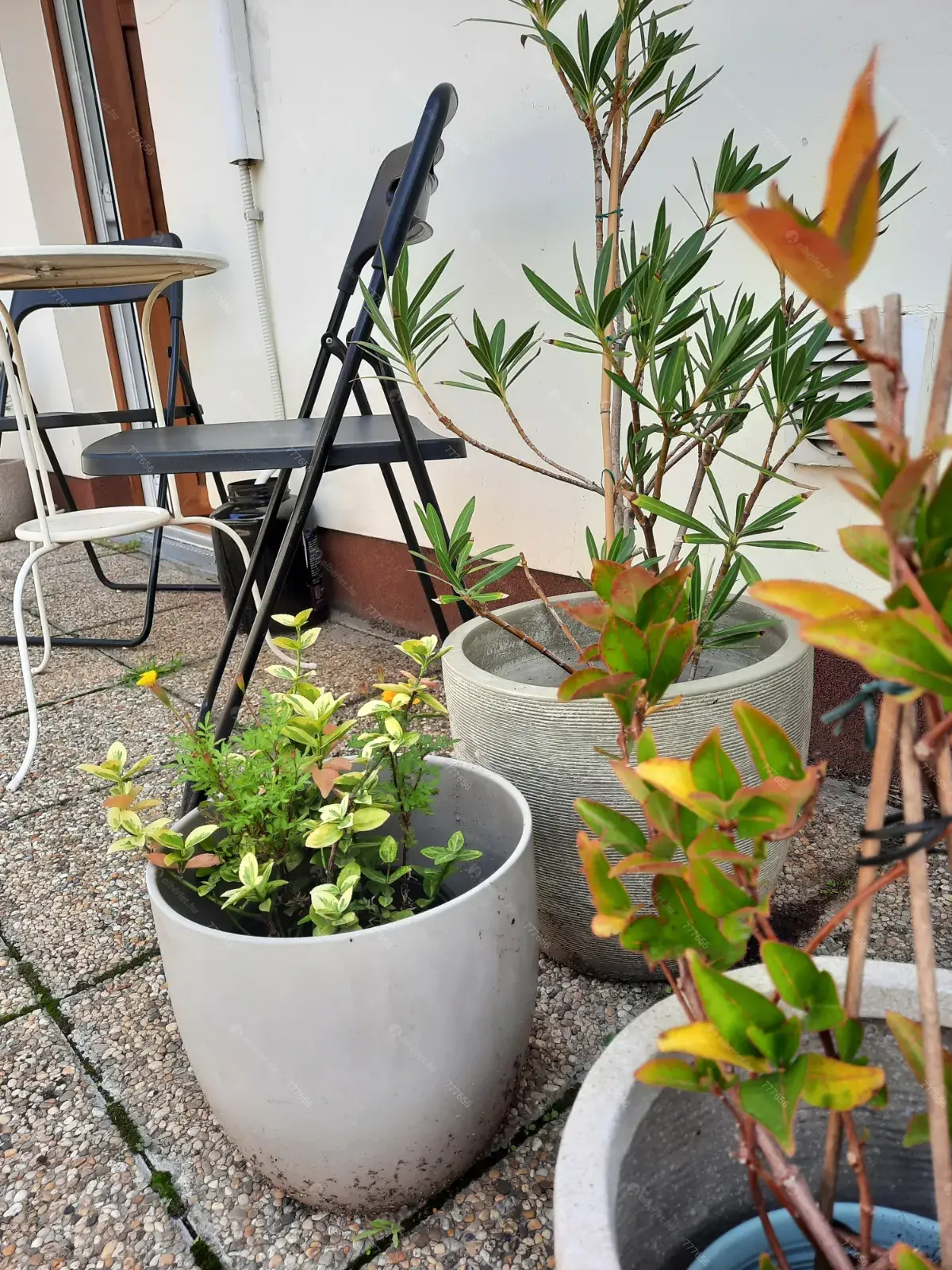 Kiadó albérlet 230000 Ft/hó áron: Budapest, IX. kerület  Márton utca. Mérete: 43 nm, 1 szobás | Alberlet.hu - 6707549