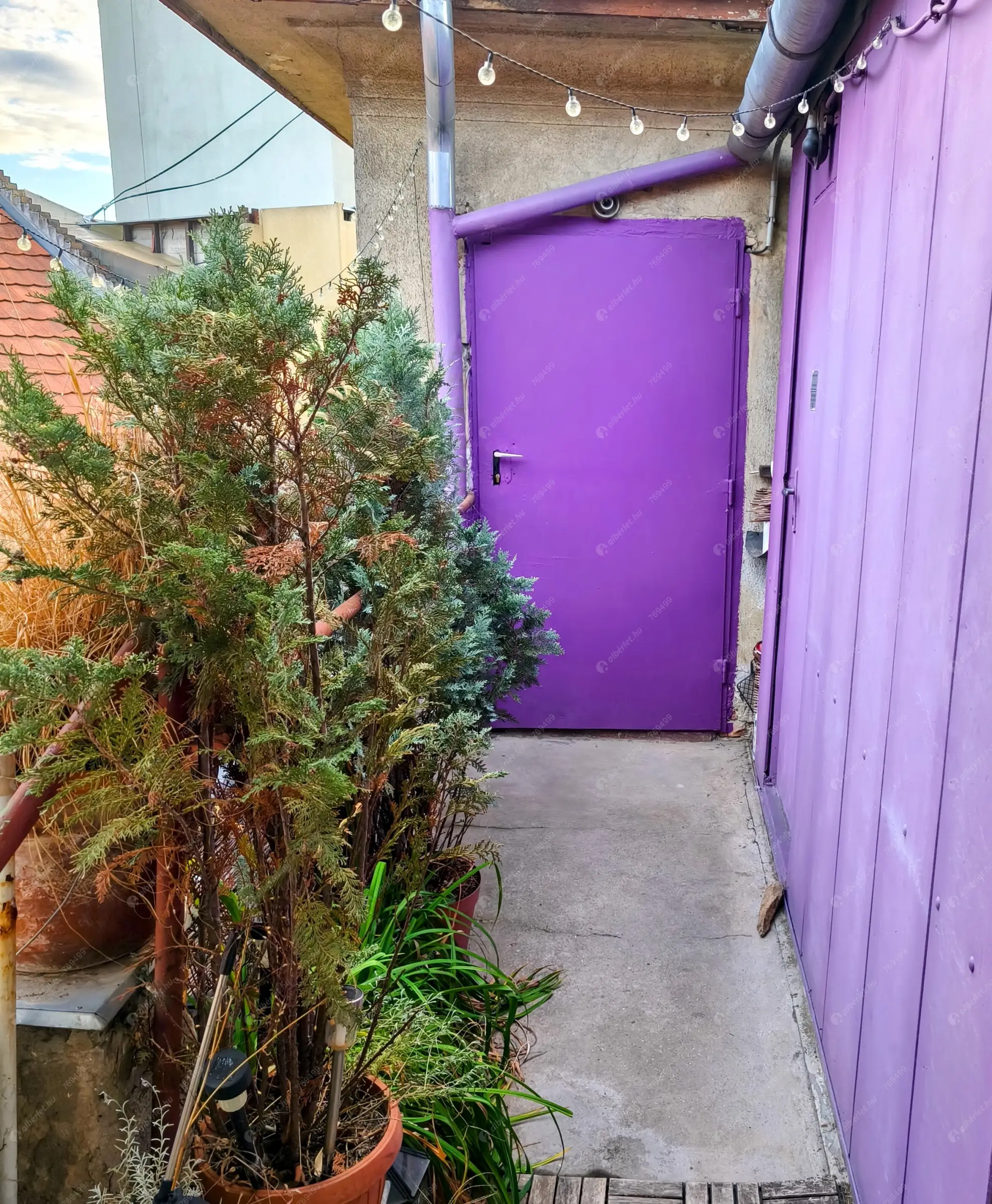 Kiadó albérlet 180000 Ft/hó áron: Budapest, IX. kerület  Mester utca. Mérete: 22 nm, 1 szobás | Alberlet.hu - 6555100