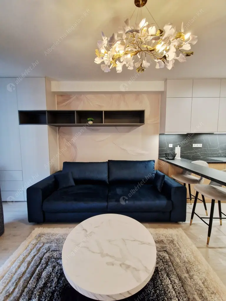 Kiadó albérlet 250000 Ft/hó áron: Budapest, IX. kerület  Mester utca. Mérete: 30 nm, 1 szobás | Alberlet.hu - 6593014