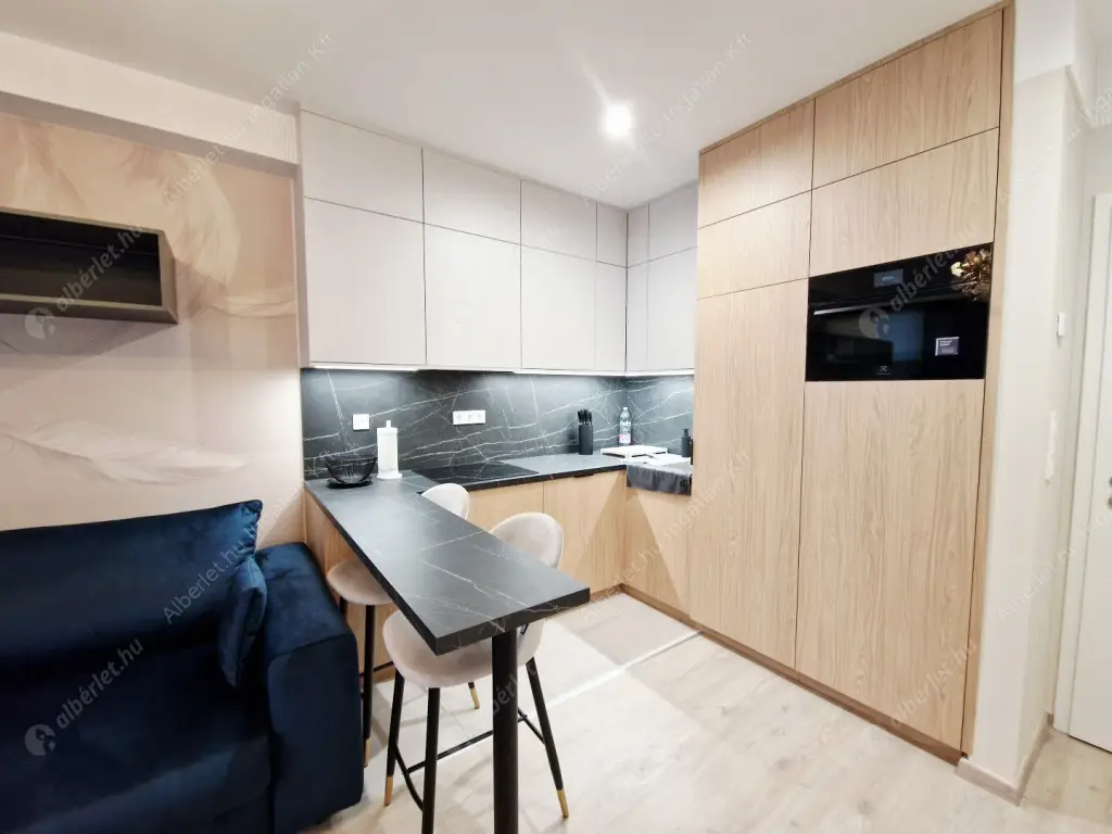 Kiadó albérlet 250000 Ft/hó áron: Budapest, IX. kerület  Mester utca. Mérete: 30 nm, 1 szobás | Alberlet.hu - 6593017