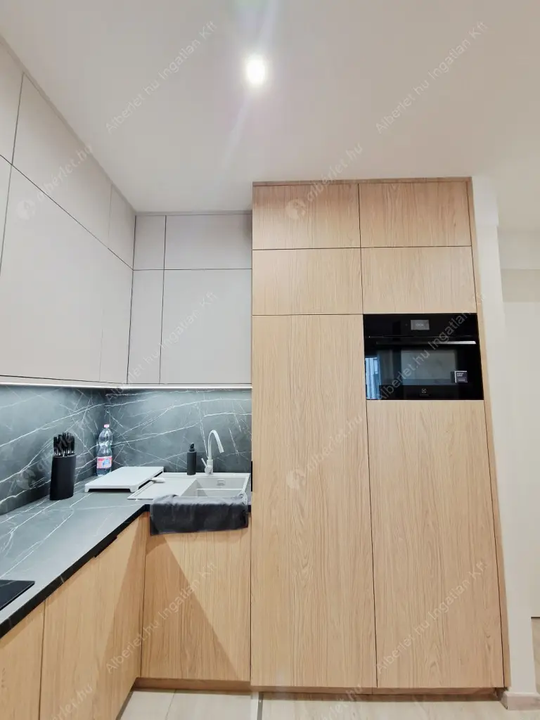 Kiadó albérlet 250000 Ft/hó áron: Budapest, IX. kerület  Mester utca. Mérete: 30 nm, 1 szobás | Alberlet.hu - 6593021