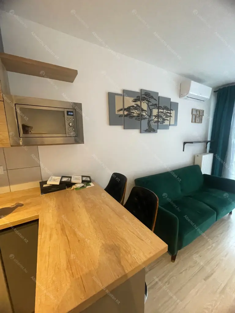 Kiadó albérlet 260000 Ft/hó áron: Budapest, IX. kerület  Mester utca. Mérete: 35 nm, 1 szobás | Alberlet.hu - 6640952