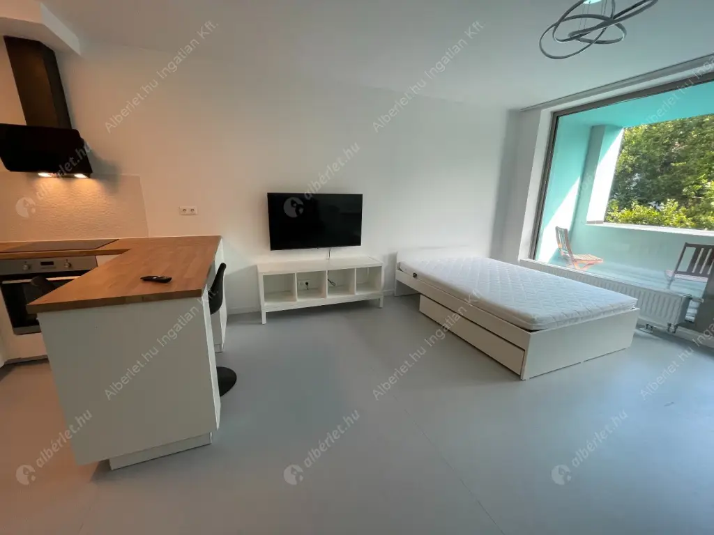 Kiadó albérlet 260000 Ft/hó áron: Budapest, IX. kerület  Mester utca. Mérete: 36 nm, 1 szobás | Alberlet.hu - 6523514