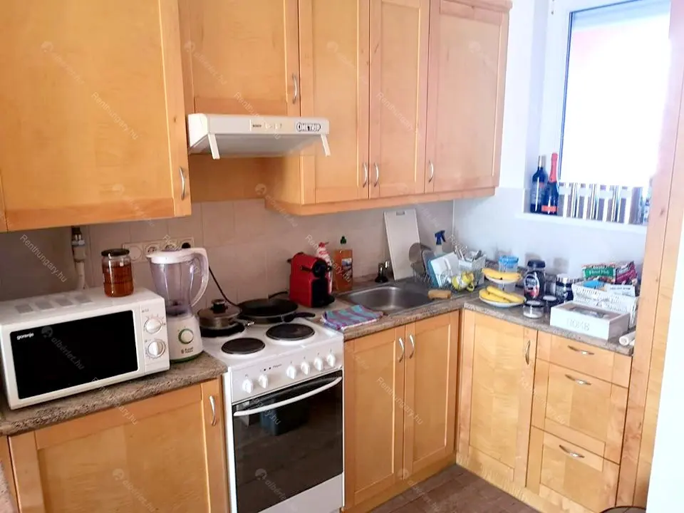 Kiadó albérlet 250000 Ft/hó áron: Budapest, IX. kerület  Mester utca. Mérete: 38 nm, 1 szobás | Alberlet.hu - 5847799