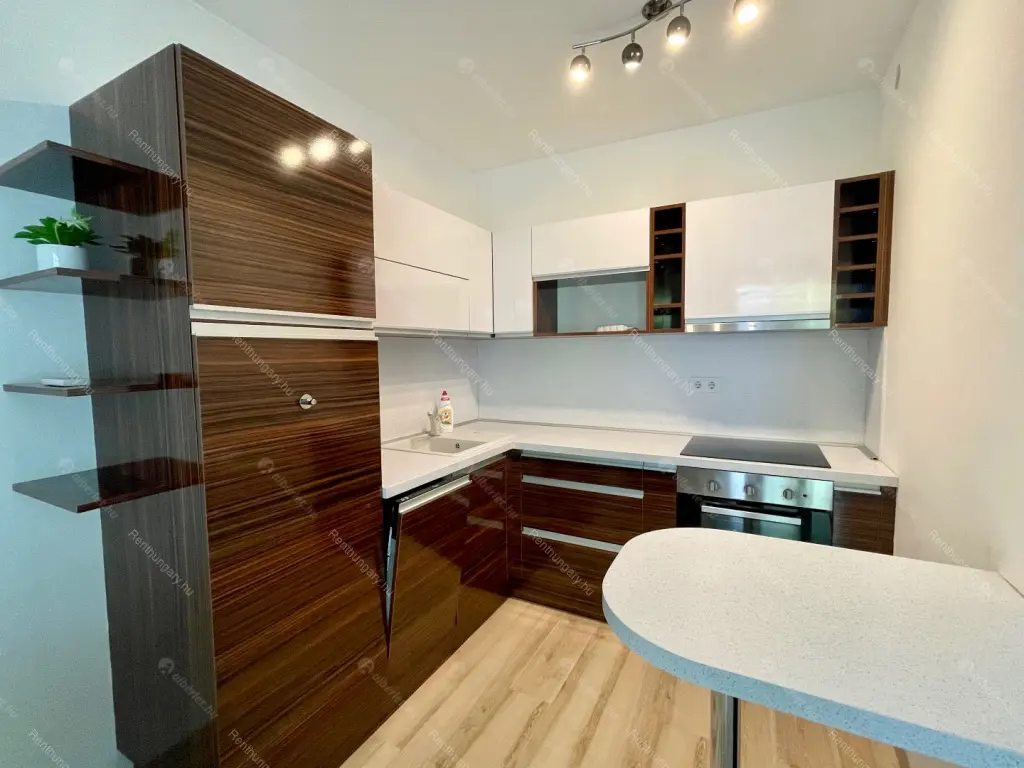 Kiadó albérlet 265000 Ft/hó áron: Budapest, IX. kerület  Nádasdy utca. Mérete: 44 nm, 1 szobás | Alberlet.hu - 5769052