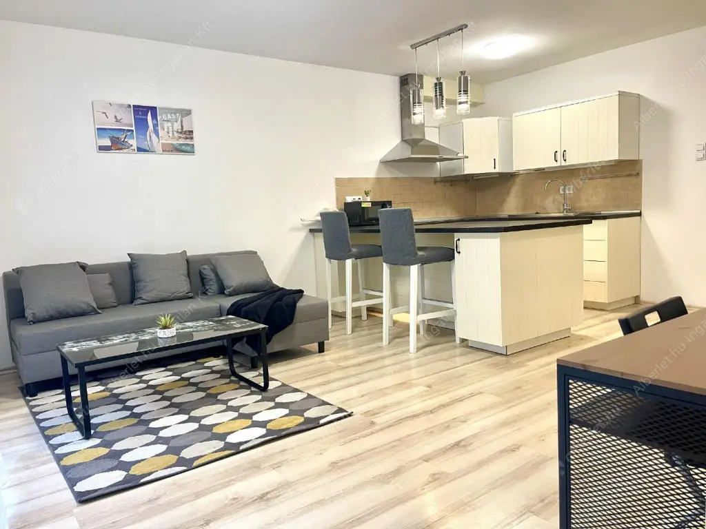 Kiadó albérlet 310000 Ft/hó áron: Budapest, IX. kerület  Nádasdy utca. Mérete: 47 nm, 1 szobás | Alberlet.hu - 6587848