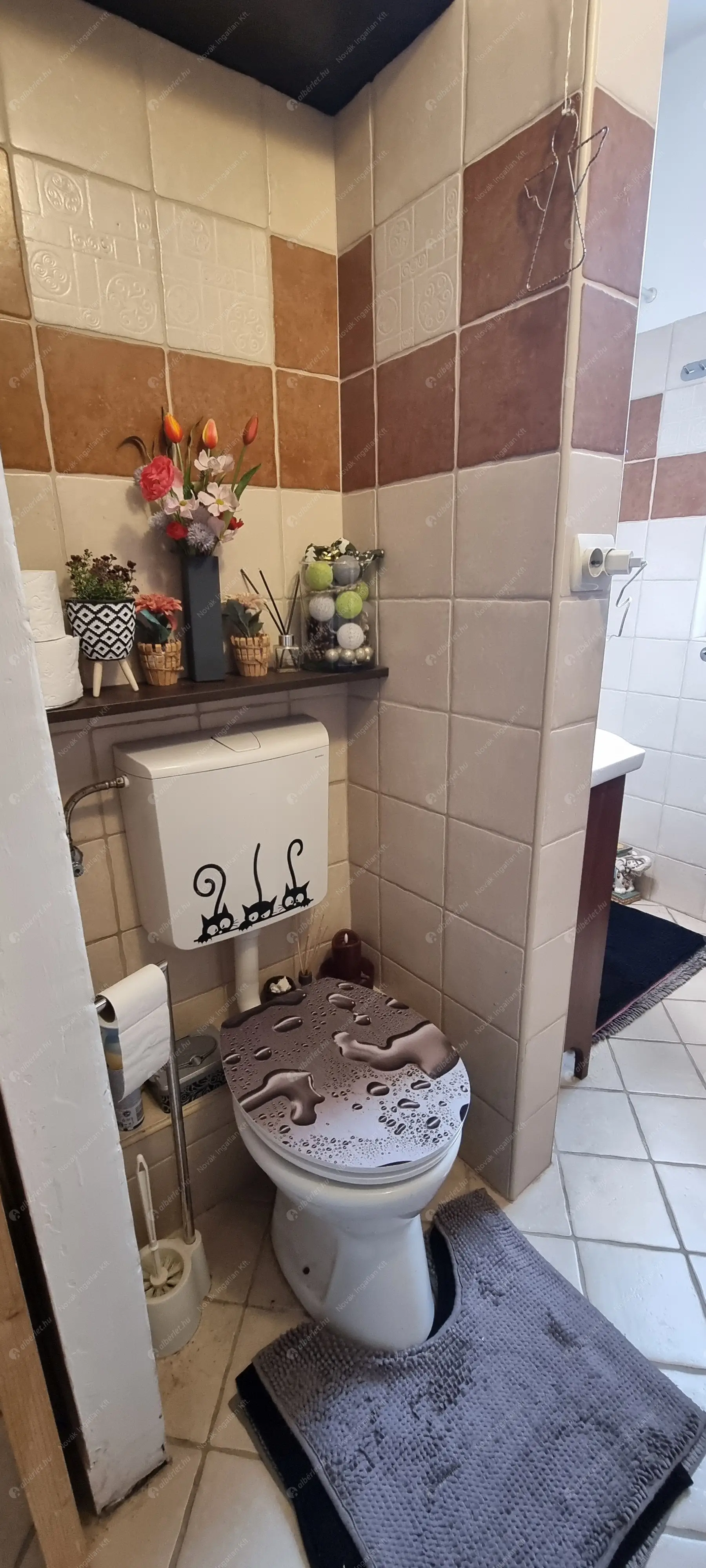 Kiadó albérlet 250000 Ft/hó áron: Budapest, IX. kerület  Óbester utca. Mérete: 53 nm, 2 szobás | Alberlet.hu - 6622129