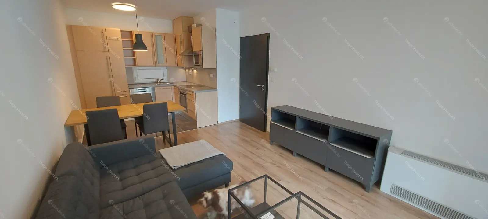 Kiadó albérlet 280000 Ft/hó áron: Budapest, IX. kerület  Pápay István utca. Mérete: 45 nm, 1 szobás | Alberlet.hu - 6704958