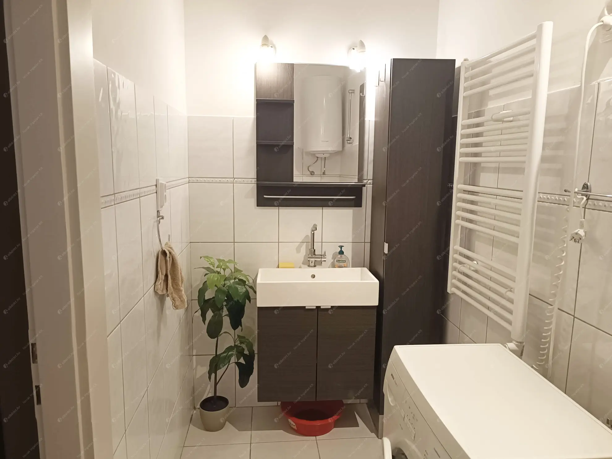 Kiadó albérlet 250000 Ft/hó áron: Budapest, IX. kerület  Ráday utca. Mérete: 45 nm, 2 szobás | Alberlet.hu - 6553975