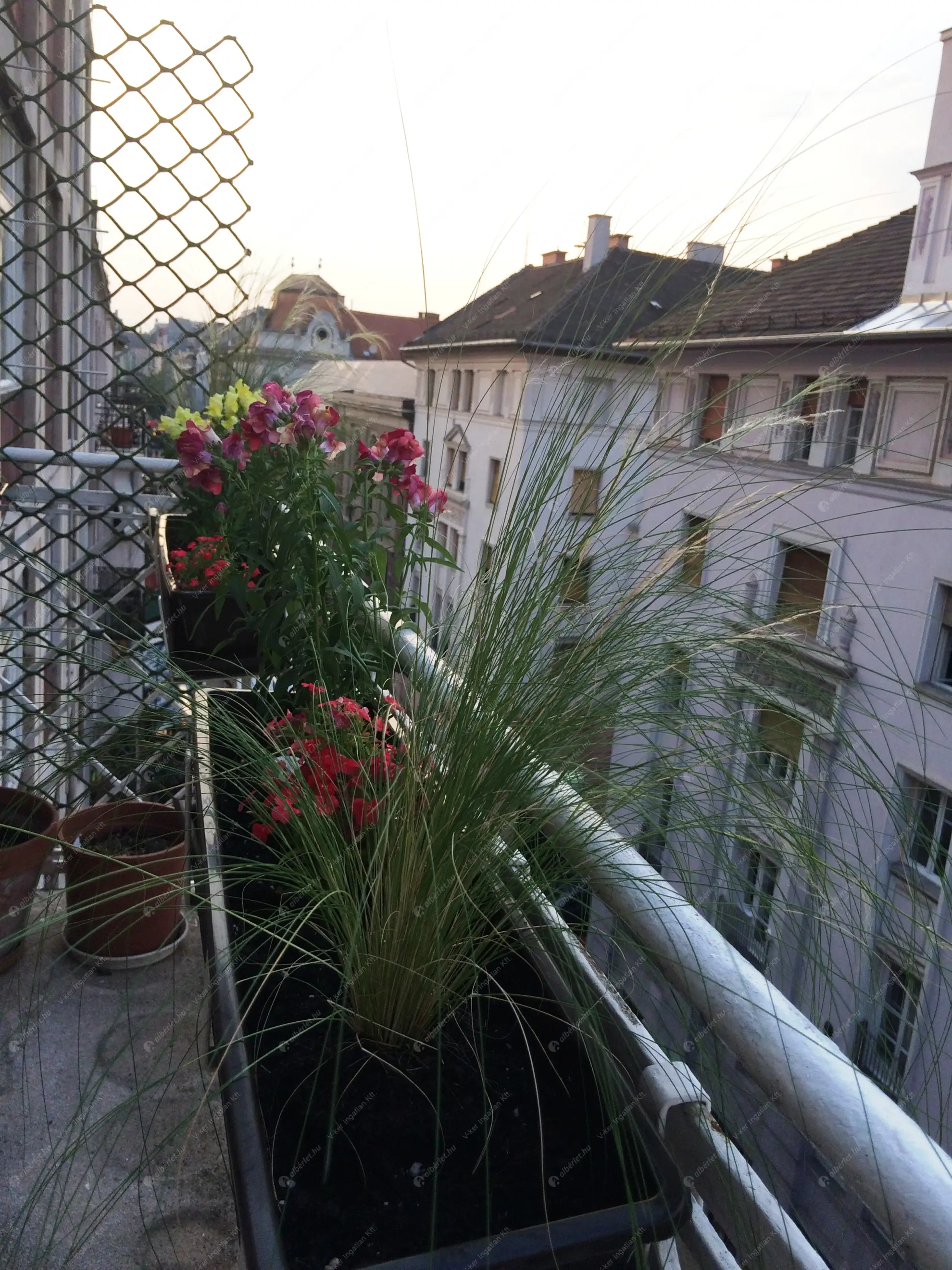 Kiadó albérlet 450000 Ft/hó áron: Budapest, IX. kerület  Ráday utca. Mérete: 77 nm, 2 szobás | Alberlet.hu - 6631301