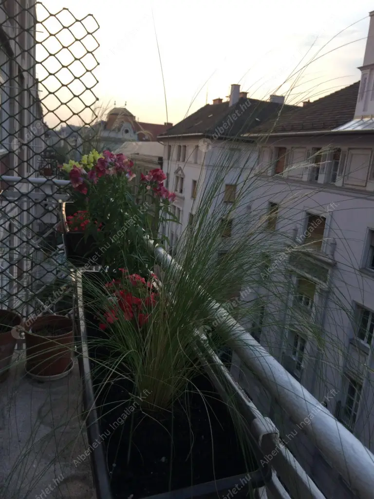 Kiadó albérlet 450000 Ft/hó áron: Budapest, IX. kerület  Ráday utca. Mérete: 77 nm, 2 szobás | Alberlet.hu - 6637828