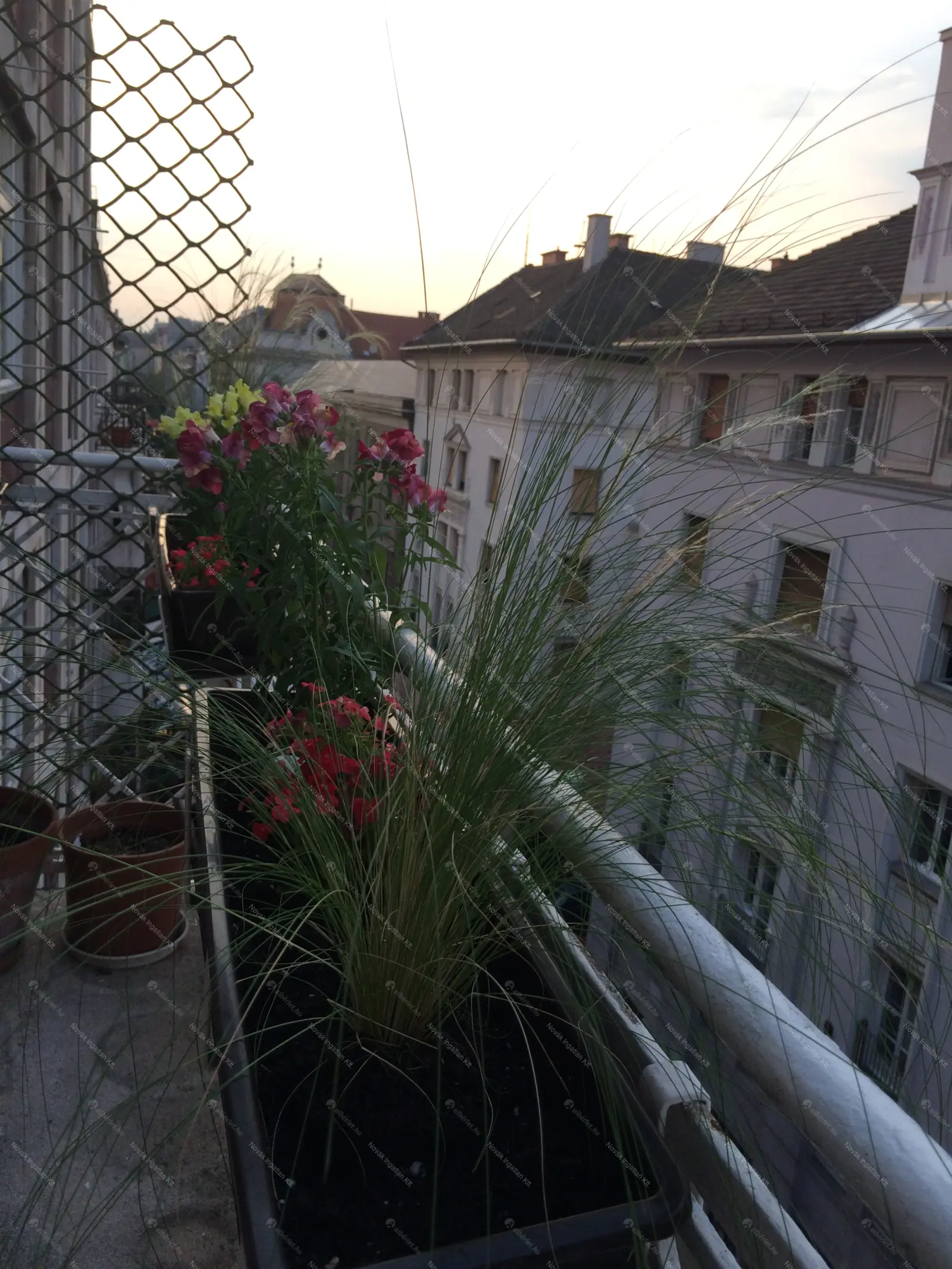 Kiadó albérlet 400000 Ft/hó áron: Budapest, IX. kerület  Ráday utca. Mérete: 77 nm, 3 szobás | Alberlet.hu - 6653910