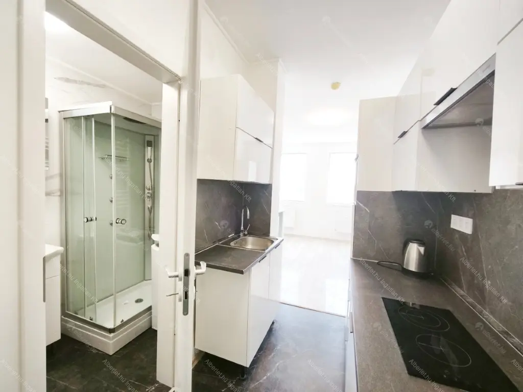 Kiadó albérlet 190000 Ft/hó áron: Budapest, IX. kerület  Telepy utca. Mérete: 24 nm, 1 szobás | Alberlet.hu - 6677505