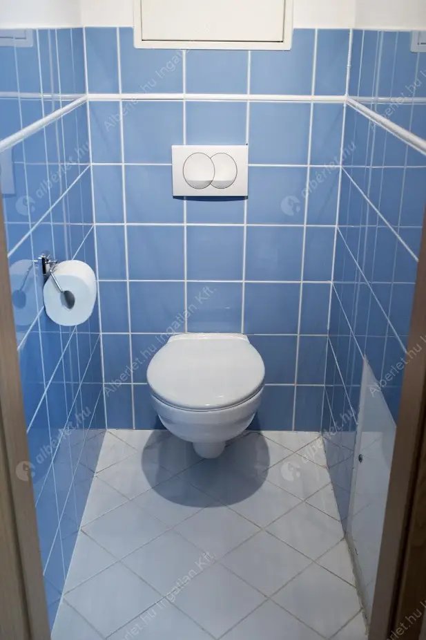 Kiadó albérlet 260000 Ft/hó áron: Budapest, IX. kerület  Thaly Kálmán utca. Mérete: 44 nm, 2 szobás | Alberlet.hu - 6586859