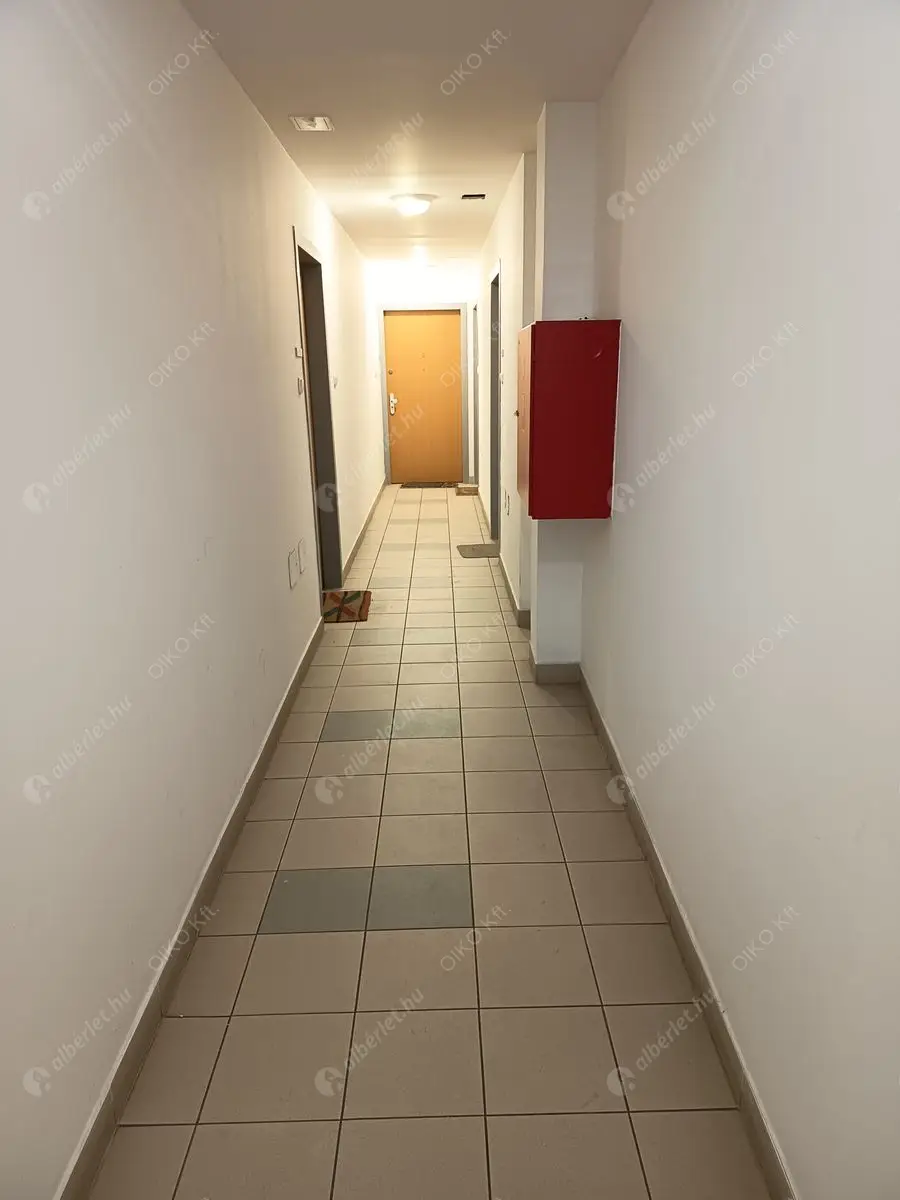 Kiadó albérlet 350000 Ft/hó áron: Budapest, IX. kerület  Thaly Kálmán utca. Mérete: 58 nm, 3 szobás | Alberlet.hu - 6636378