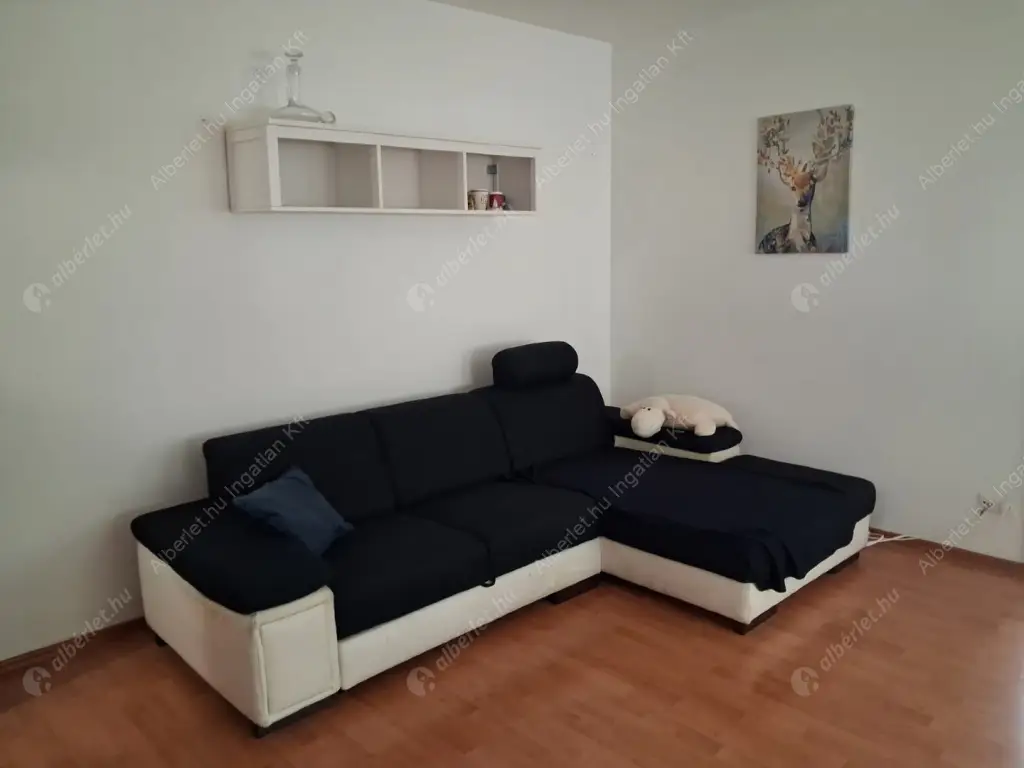 Kiadó albérlet 350000 Ft/hó áron: Budapest, IX. kerület  Tóth Kálmán utca. Mérete: 68 nm, 3 szobás | Alberlet.hu - 6600069