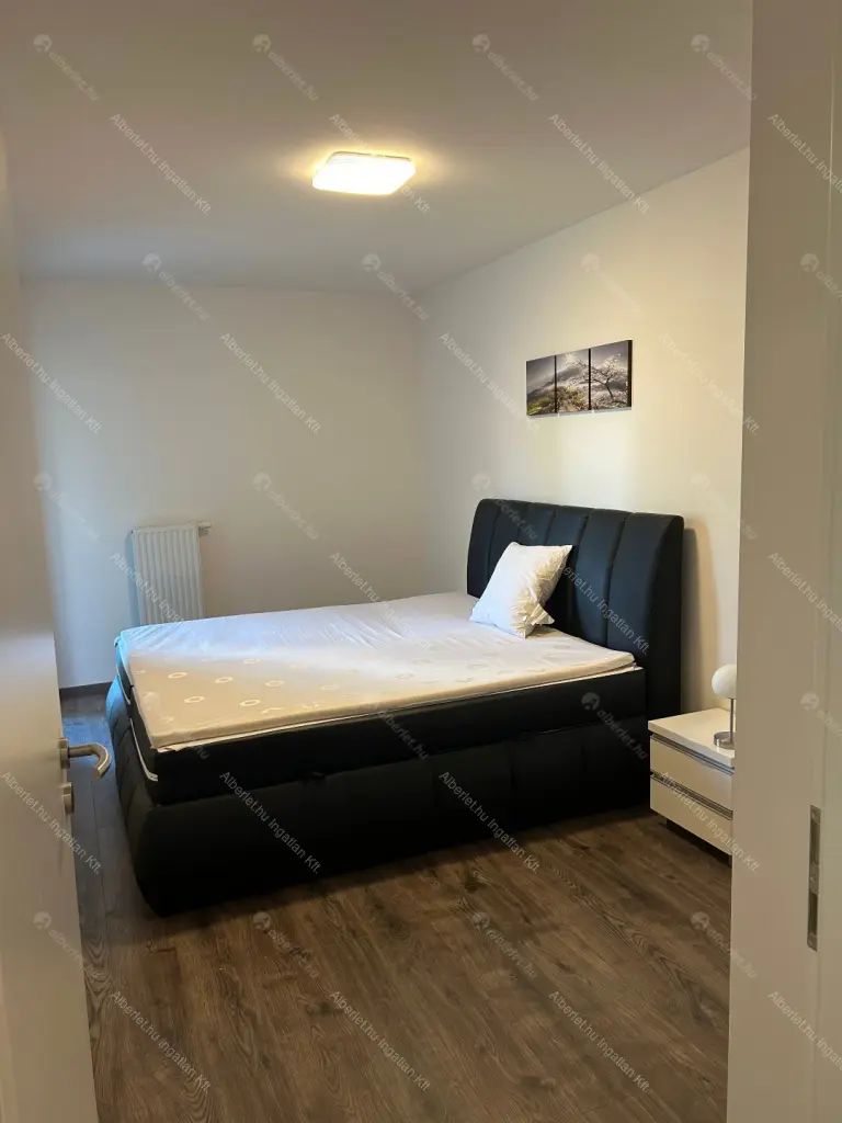 Kiadó albérlet 270000 Ft/hó áron: Budapest, IX. kerület  Tűzoltó  utca . Mérete: 43 nm, 2 szobás | Alberlet.hu - 6643450