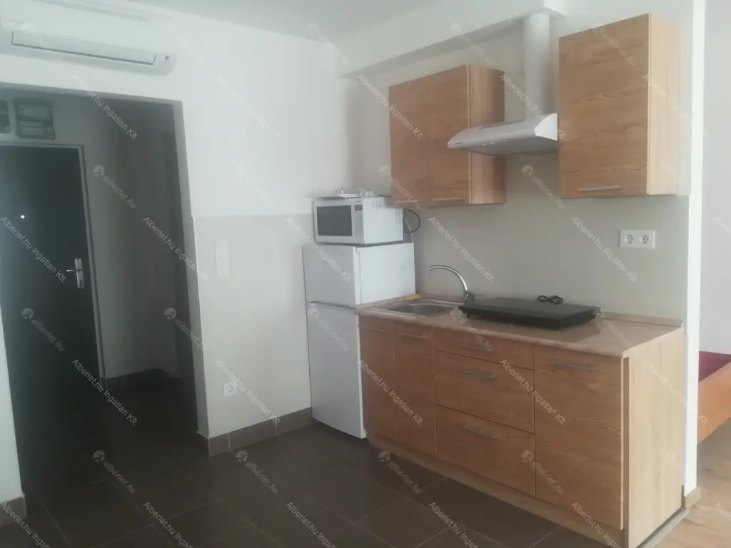 Kiadó albérlet 230000 Ft/hó áron: Budapest, IX. kerület  Tűzoltó utca. Mérete: 41 nm, 1 szobás | Alberlet.hu - 6643562