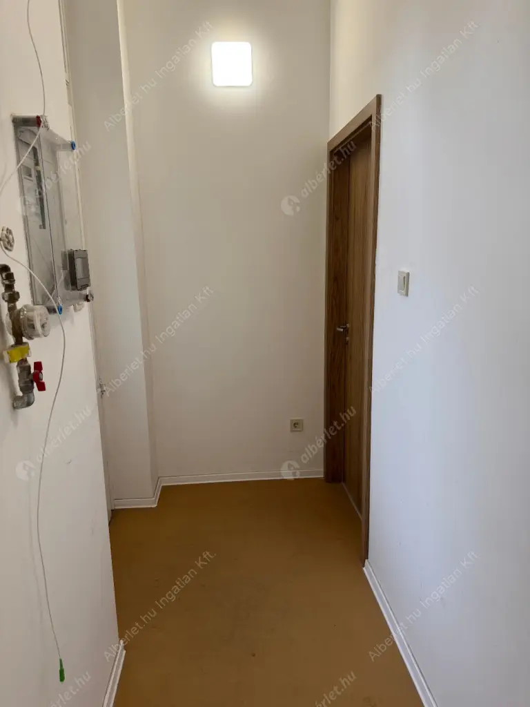 Kiadó albérlet 220000 Ft/hó áron: Budapest, IX. kerület  Üllői  út . Mérete: 49 nm, 2 szobás | Alberlet.hu - 6582798