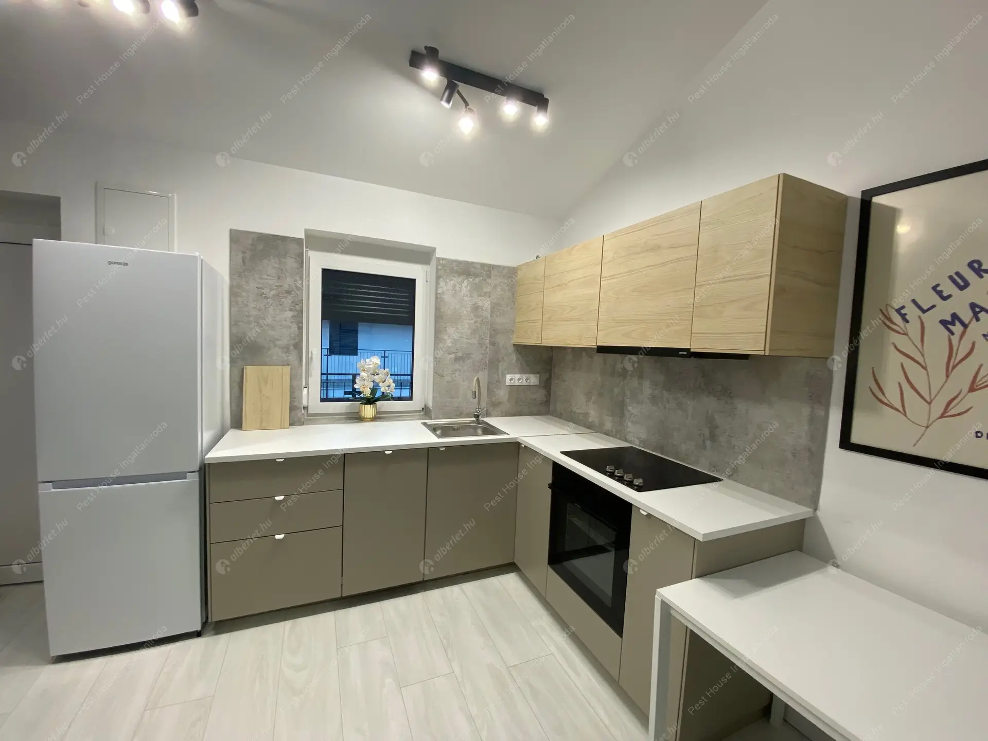 Kiadó albérlet 280000 Ft/hó áron: Budapest, IX. kerület  Üllői út. Mérete: 48 nm, 2 szobás | Alberlet.hu - 6543808