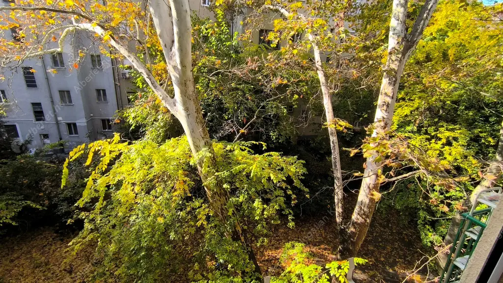 Kiadó albérlet 320000 Ft/hó áron: Budapest, IX. kerület  Vaskapu utca. Mérete: 80 nm, 3 szobás | Alberlet.hu - 6631575