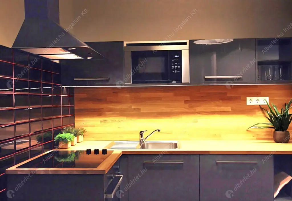 Kiadó albérlet 350000 Ft/hó áron: Budapest, V. kerület  Kecskeméti utca. Mérete: 56 nm, 1 szobás | Alberlet.hu - 6569323