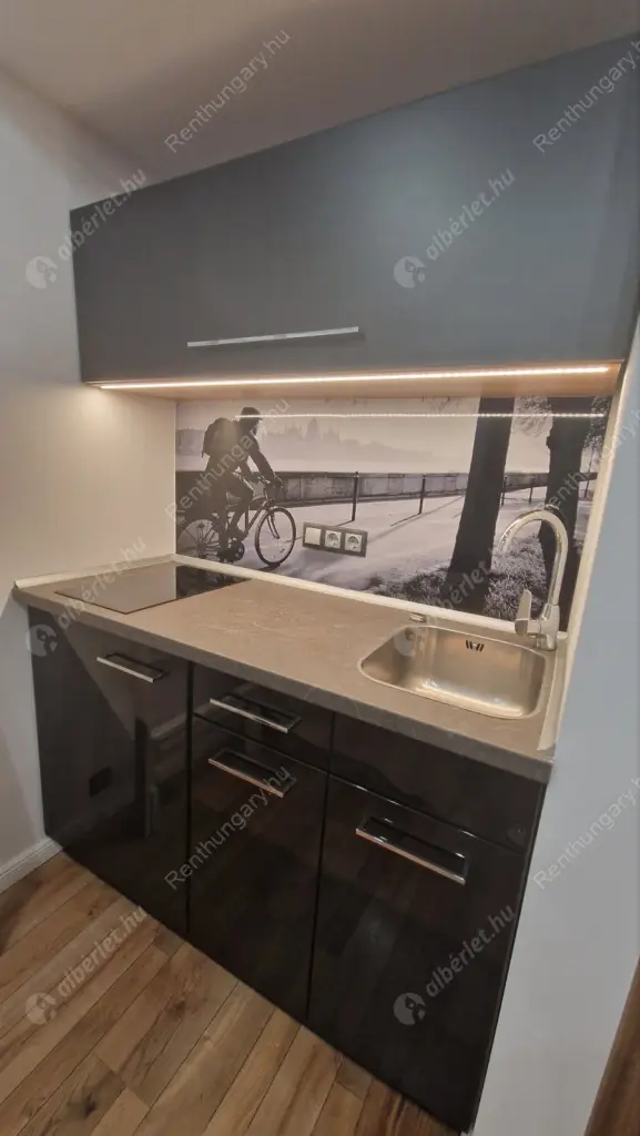 Kiadó albérlet 200000 Ft/hó áron: Budapest, V. kerület  Semmelweis utca. Mérete: 18 nm, 1 szobás | Alberlet.hu - 6511823