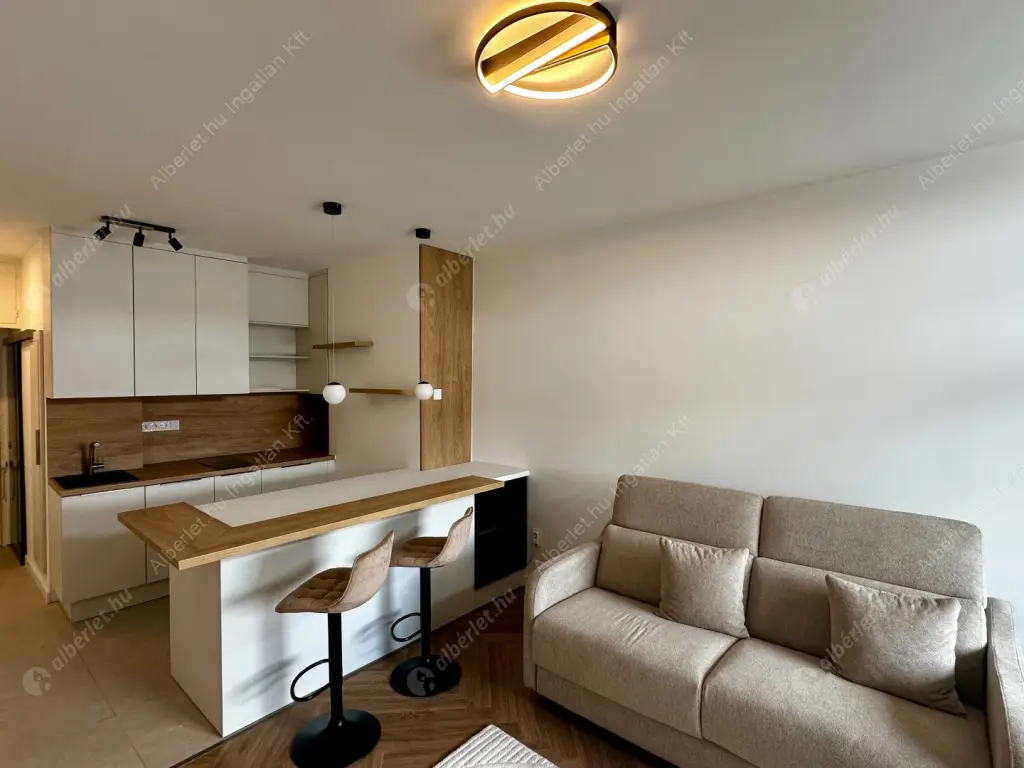 Kiadó albérlet 329000 Ft/hó áron: Budapest, V. kerület  Széchenyi utca. Mérete: 30 nm, 1 szobás | Alberlet.hu - 6521576