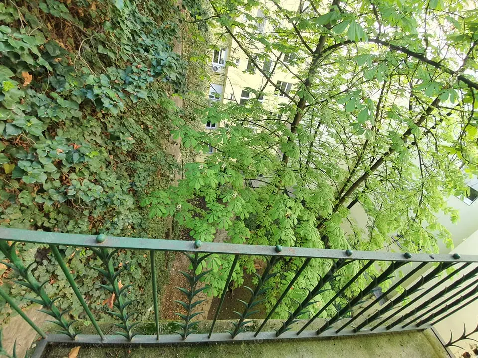 Kiadó albérlet 200000 Ft/hó áron: Budapest, V. kerület  Váci utca. Mérete: 30 nm, 1 szobás | Alberlet.hu - 5300031