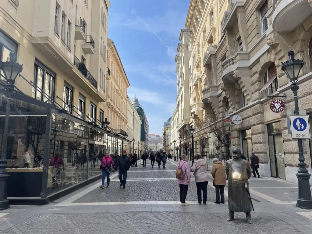 Kiadó albérlet 300000 Ft/hó áron: Budapest, V. kerület  Zrínyi utca. Mérete: 50 nm, 1 szobás | Alberlet.hu - 6643617