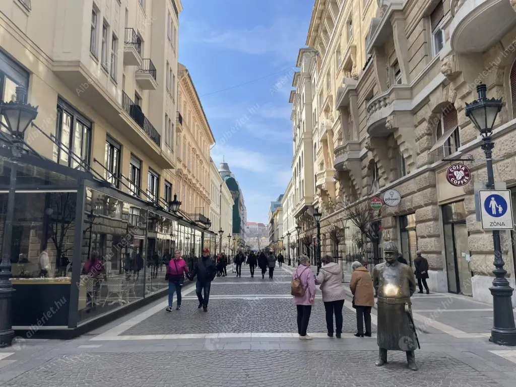 Kiadó albérlet 300000 Ft/hó áron: Budapest, V. kerület  Zrínyi utca. Mérete: 68 nm, 2 szobás | Alberlet.hu - 6624315