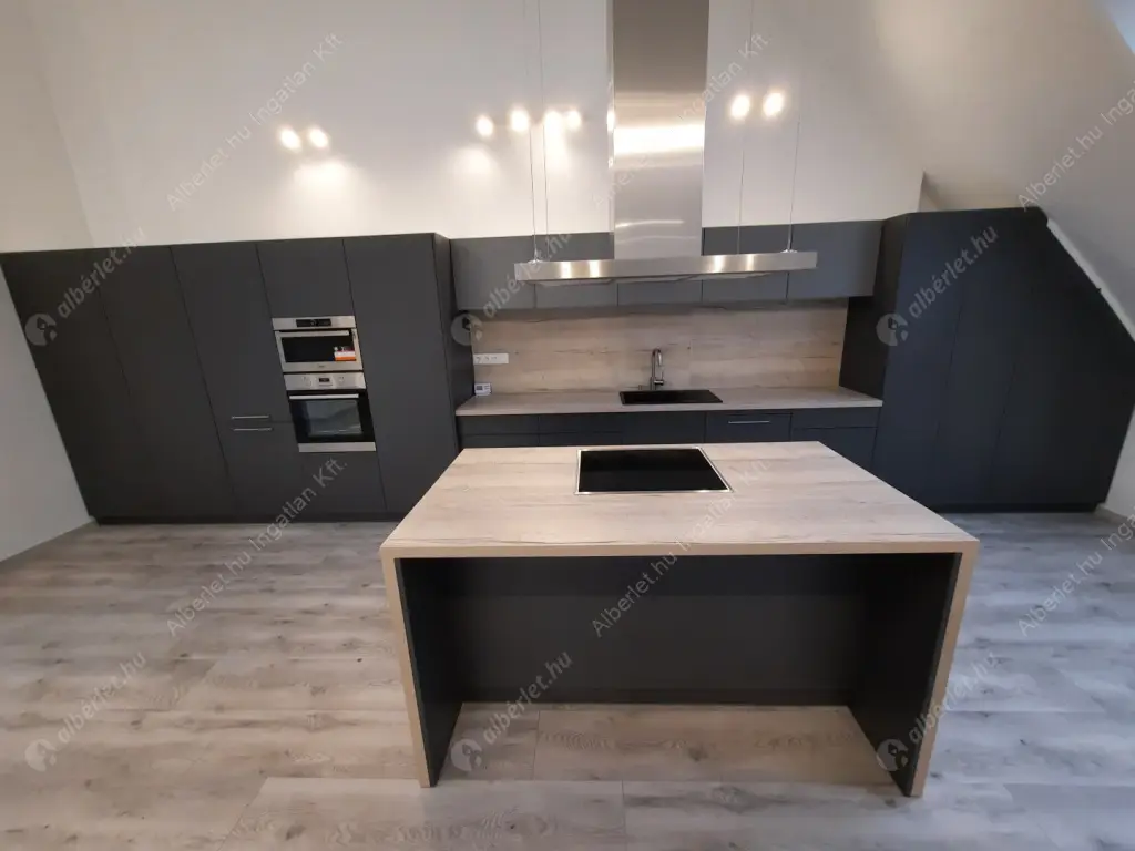 Kiadó albérlet 1104000 Ft/hó áron: Budapest, VI. kerület  Andrássy út. Mérete: 145 nm, 3 szobás | Alberlet.hu - 5862439